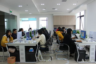 聚貴盈電子商務 做投資與資產管理業行業內佼佼者